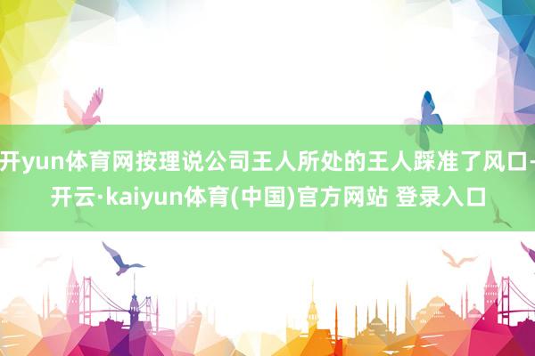 开yun体育网按理说公司王人所处的王人踩准了风口-开云·kaiyun体育(中国)官方网站 登录入口