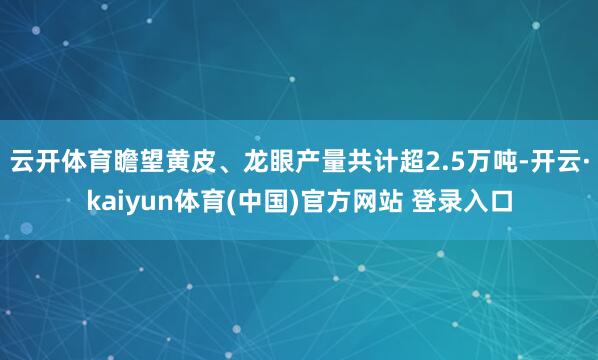 云开体育瞻望黄皮、龙眼产量共计超2.5万吨-开云·kaiyun体育(中国)官方网站 登录入口