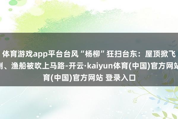 体育游戏app平台台风“杨柳”狂扫台东：屋顶掀飞、老树倾倒、渔船被吹上马路-开云·kaiyun体育(中国)官方网站 登录入口