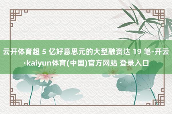 云开体育超 5 亿好意思元的大型融资达 19 笔-开云·kaiyun体育(中国)官方网站 登录入口